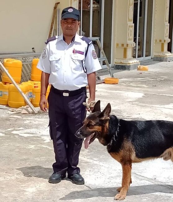 Golden Eagle Security Services Guard Dog K9 Unit